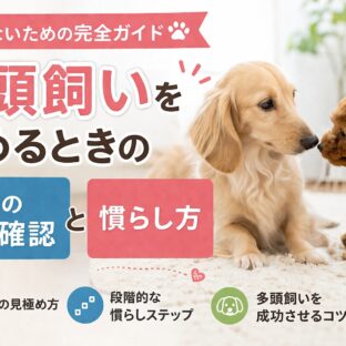 多頭飼いを始めるときの犬の相性確認と慣らし方｜失敗しないための完全ガイド