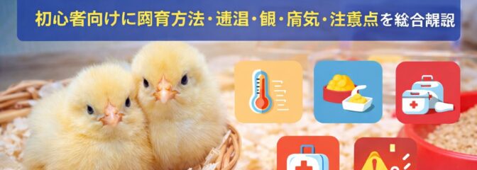 ひよこの育て方ガイド