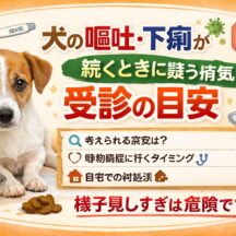 犬の嘔吐・下痢が続くときに疑う病気と受診の目安｜獣医師監修レベルの完全ガイド