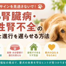 犬の腎臓病・慢性腎不全の症状と進行を遅らせる方法｜早期発見が愛犬の命を守る