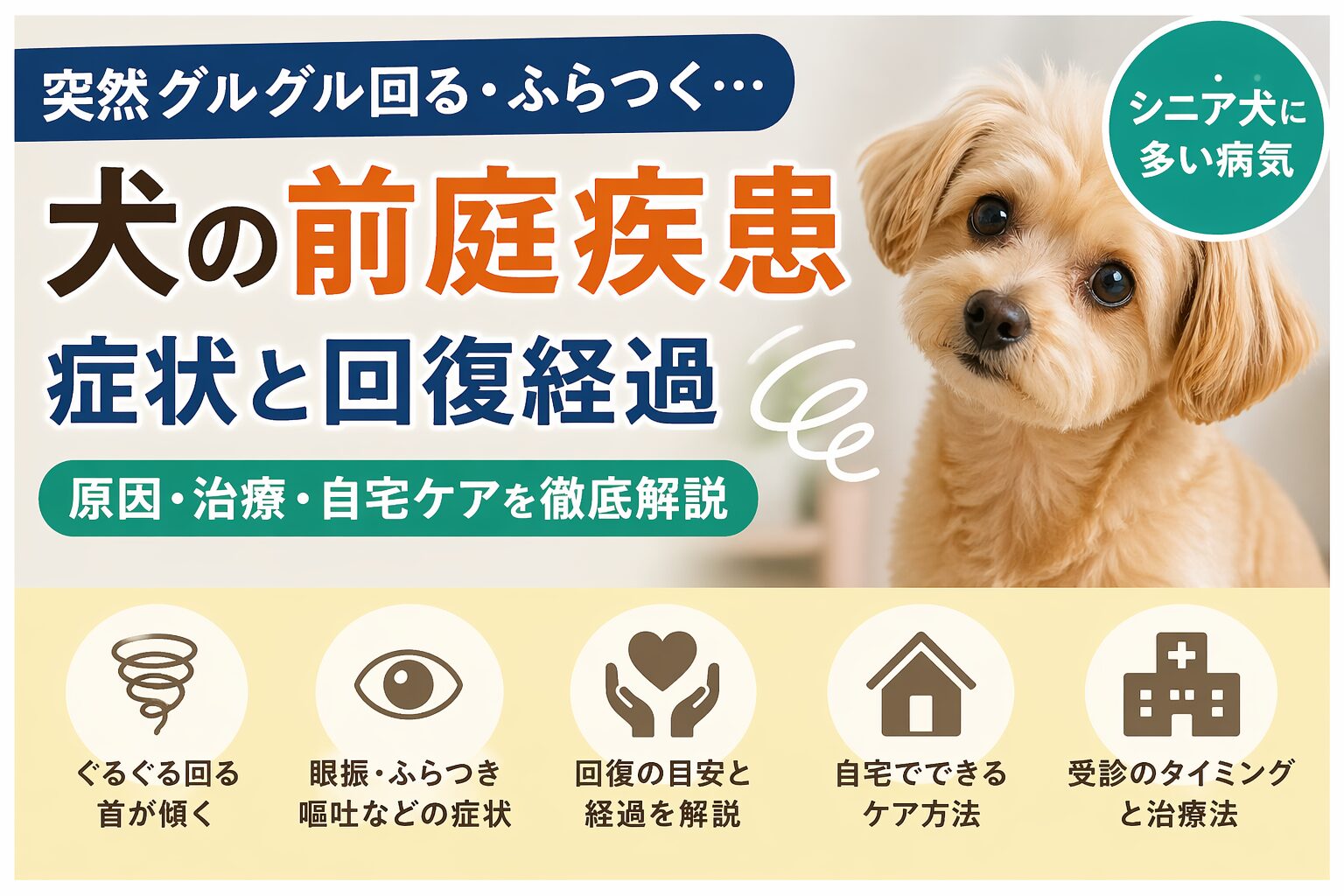 犬の前庭疾患（突然グルグル回る）とは