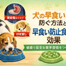 犬の早食いを防ぐ方法と早食い防止食器の効果｜命を守る食事習慣のすべて