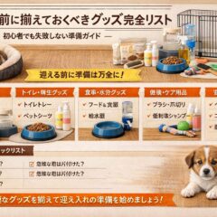 子犬を迎える前に揃えておくべきグッズ完全リスト｜動物福祉の視点から徹底解説