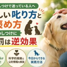犬のしつけに体罰は逆効果｜正しい叱り方・褒め方を動物福祉の視点から徹底解説