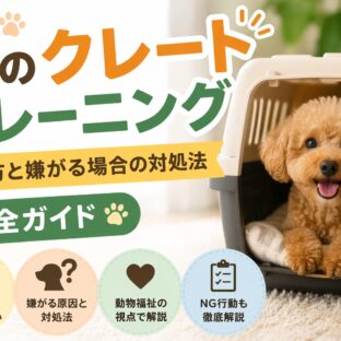 犬のクレートトレーニングのやり方と嫌がる場合の対処法【動物福祉の視点から解説】