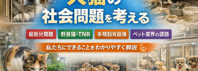 犬猫に関する社会問題