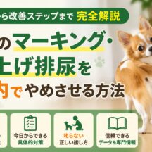 犬のマーキング・足上げ排尿を室内でやめさせる方法｜原因から対策まで徹底解説
