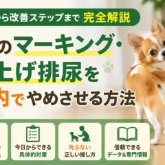 犬のマーキング・足上げ排尿を室内でやめさせる方法｜原因から対策まで徹底解説