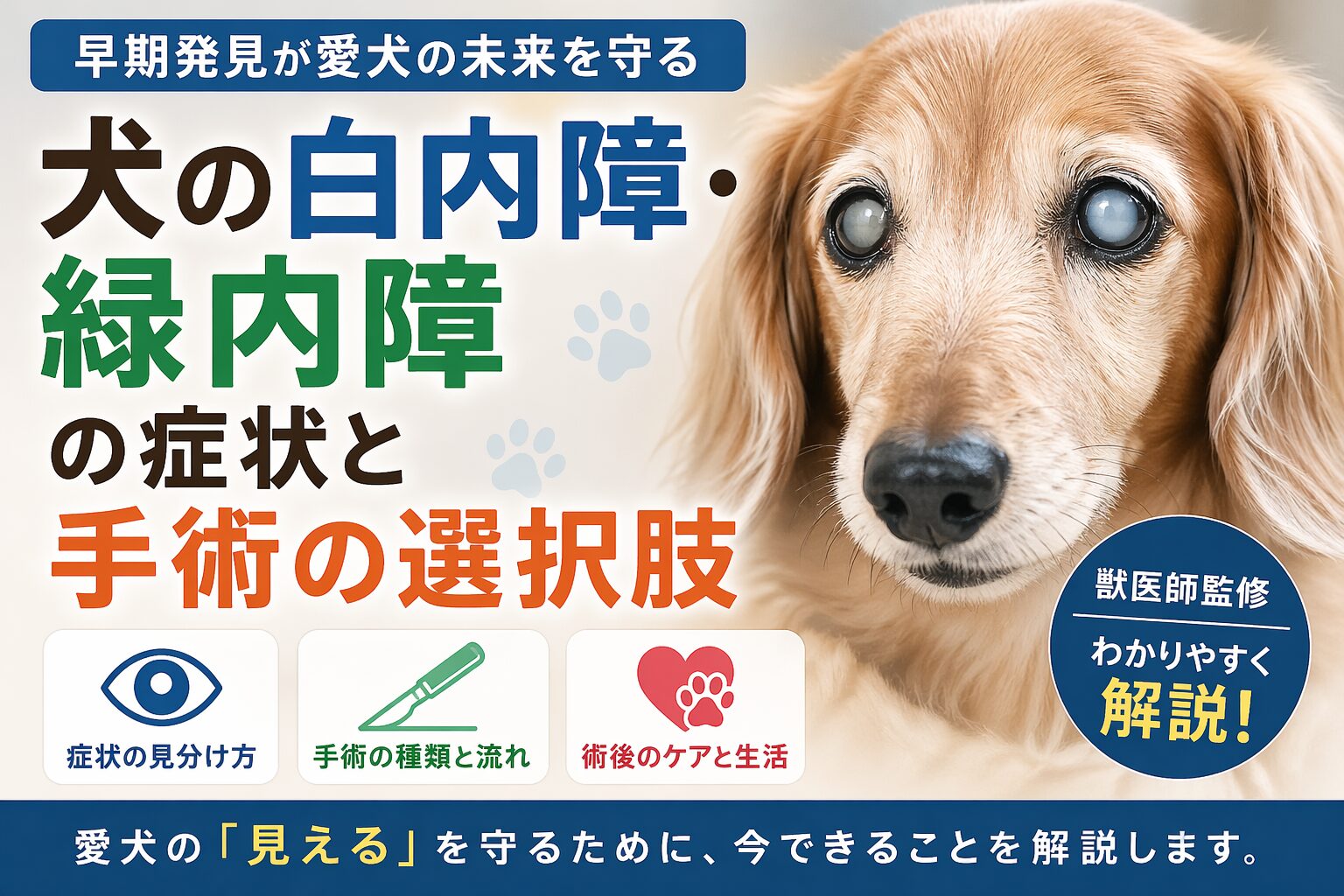 犬の白内障・緑内障の症状