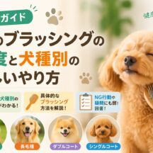 犬のブラッシングの頻度と犬種別の正しいやり方｜動物福祉の専門家が徹底解説