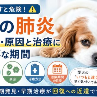 犬の肺炎の症状・原因と治療に必要な期間｜早期発見が愛犬の命を守る