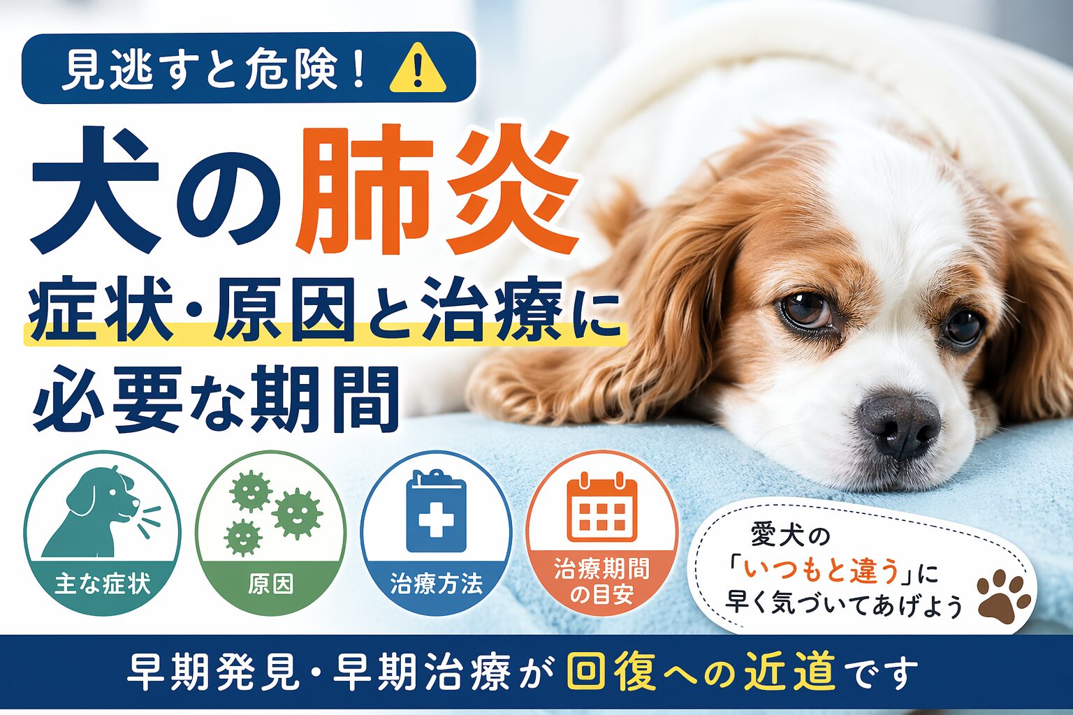 犬の肺炎の症状・原因と治療に必要な期間