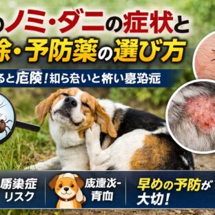 犬のノミ・ダニの症状と駆除・予防薬の選び方｜獣医師も推奨する完全ガイド