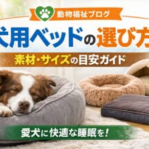 犬用ベッドの選び方完全ガイド｜素材・サイズの目安から動物福祉まで徹底解説