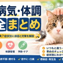 猫の病気・体調管理まとめ｜症状別に原因と対処法をわかりやすく整理