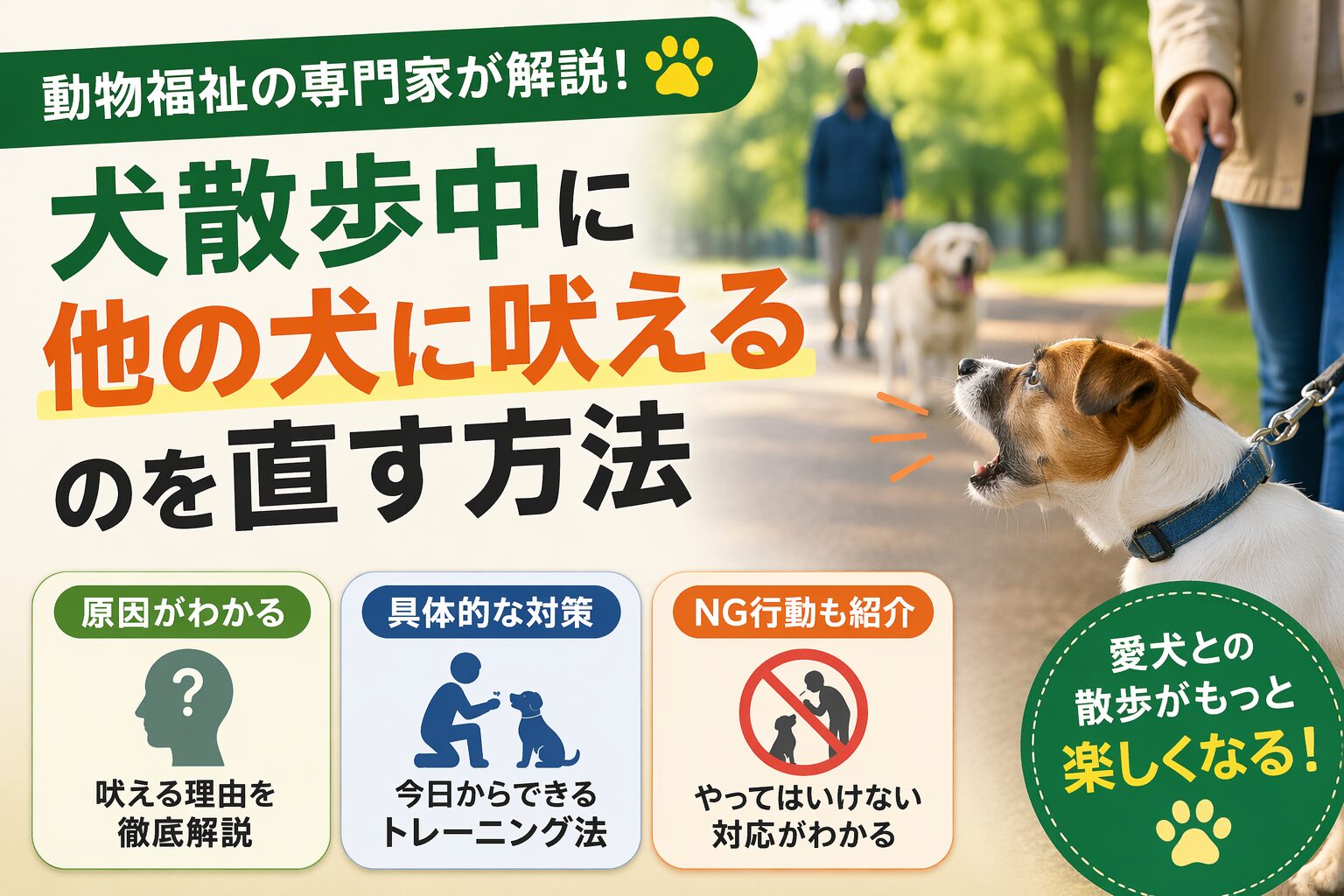 犬が散歩中に他の犬に吠える原因