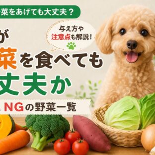 犬が野菜を食べても大丈夫？獣医師も推奨するOK野菜・NG野菜の完全ガイド【2026年最新版】