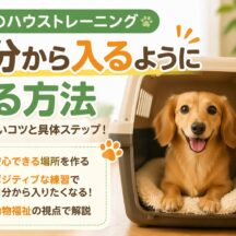 犬のハウストレーニングで自分から入るようになる方法｜失敗しない科学的アプローチ