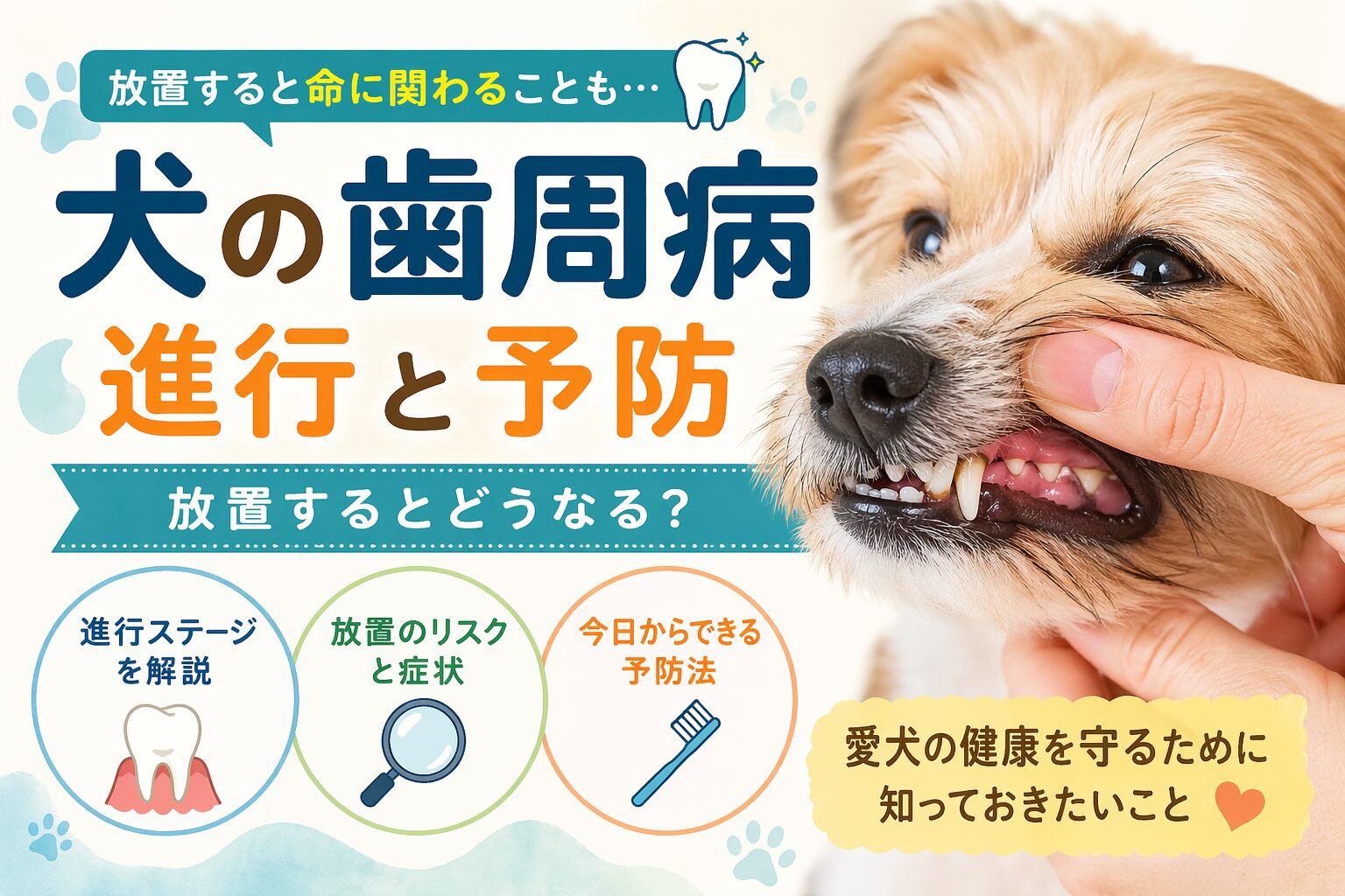 犬の歯周病の進行と予防