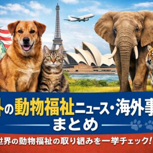 海外の動物福祉ニュース・海外事例まとめ｜世界で起きている問題と取り組みを一覧でチェック