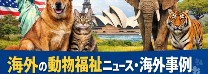 海外の動物福祉最新ニュース