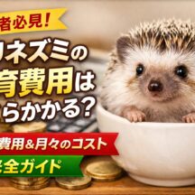 ハリネズミの飼育費用はいくらかかる？初期費用から月々のコストまで完全解説