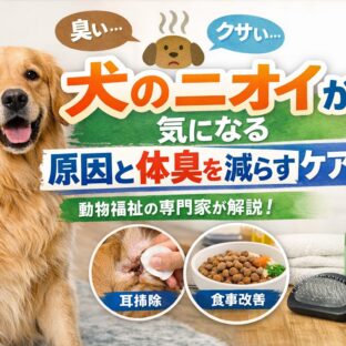 犬のニオイが気になる原因と体臭を減らすケア方法｜獣医師監修の完全ガイド