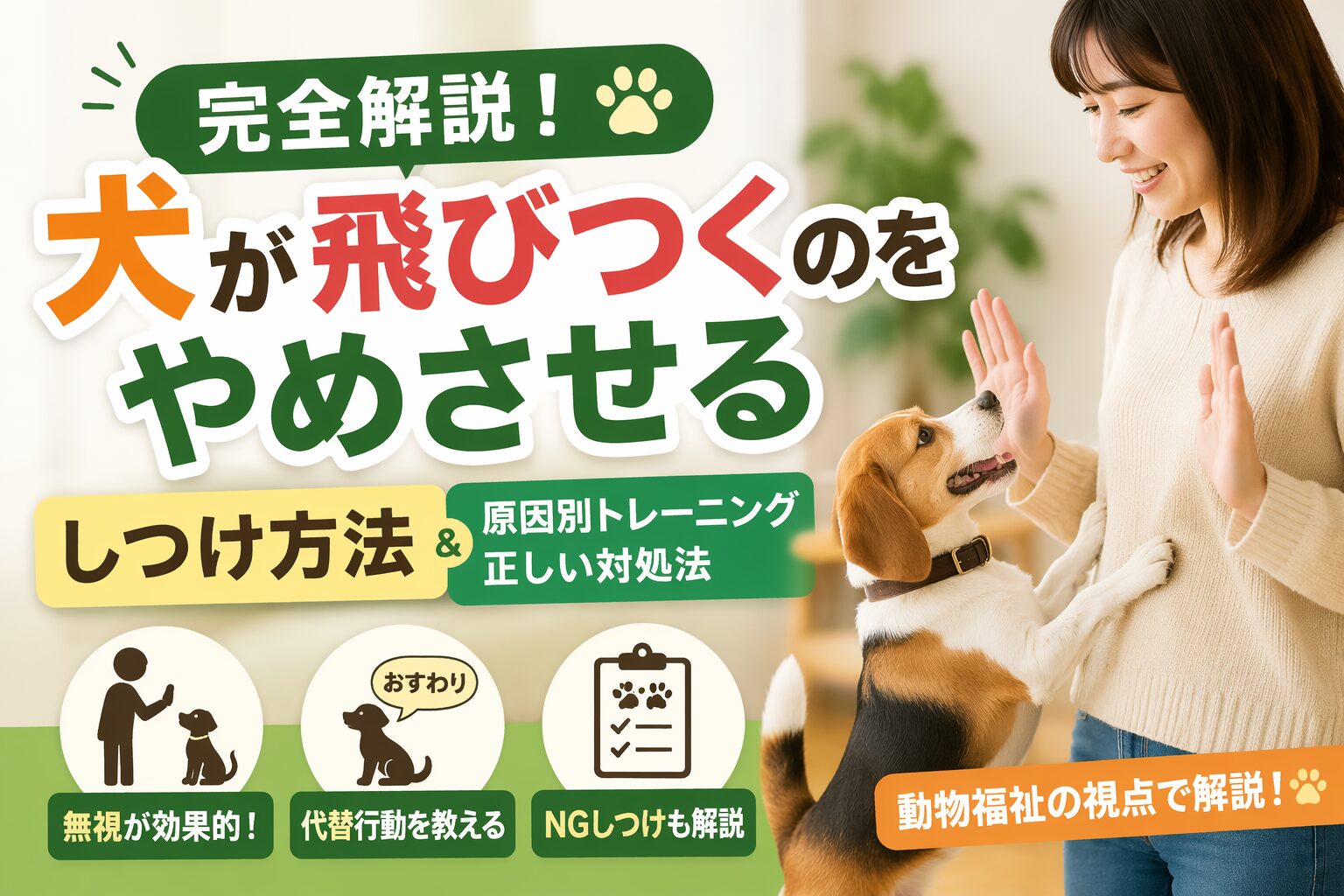 犬が飛びつくのをやめさせるしつけ方法
