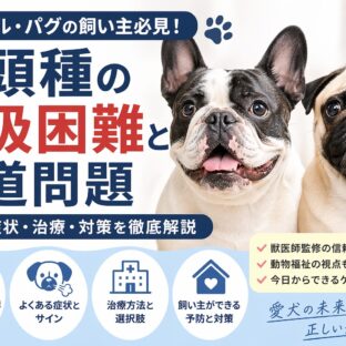 フレンチブルドッグ・パグの呼吸困難｜短頭種の気道問題を獣医師監修レベルで徹底解説