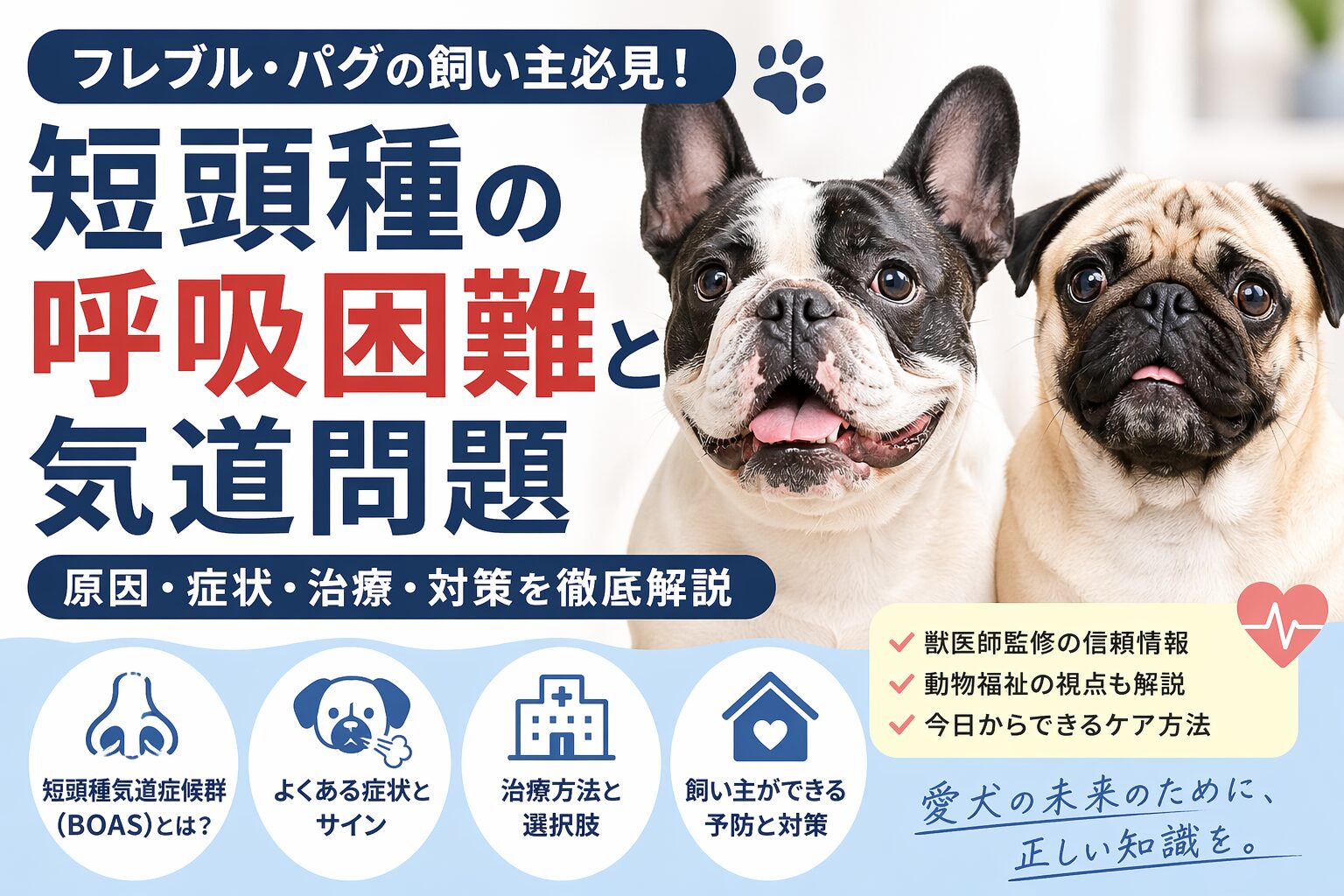 フレンチブルドッグ・パグの呼吸困難