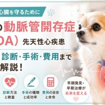 犬の動脈管開存症（先天性心疾患）の症状・診断・手術を徹底解説｜早期発見が命を救う