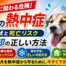犬の熱中症の症状と死亡リスク・冷却の正しい方法【獣医師監修レベルの完全ガイド】