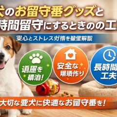 犬のお留守番グッズ完全ガイド｜長時間の外出でも愛犬が安心できる環境づくり