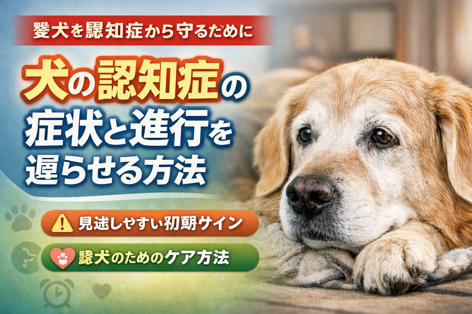 犬の認知症（痴呆）の症状と進行を遅らせる方法