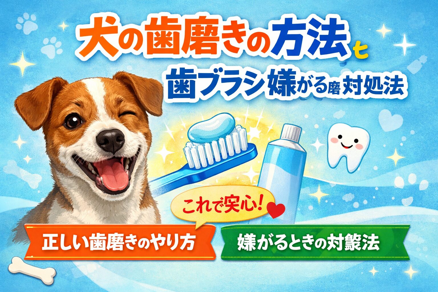 犬の歯磨きの方法と歯ブラシを嫌がるときの対処法