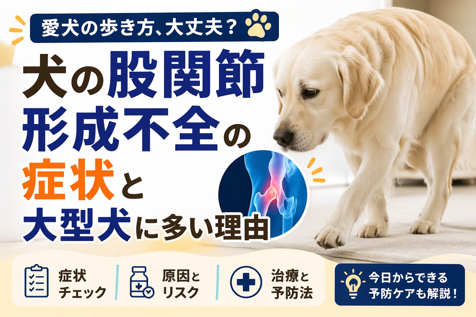 犬の股関節形成不全とは