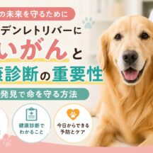 ゴールデンレトリバーに多いがんとは？健康診断で命を守るために知っておきたいこと