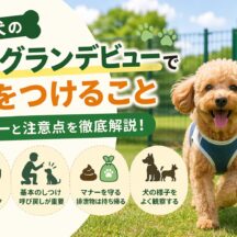 犬のドッグランデビューで気をつけること｜初めてでも安心のマナーと注意点を完全解説