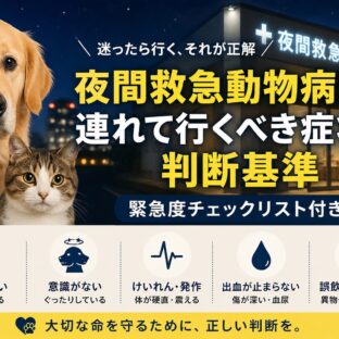 夜間救急動物病院に連れて行くべき症状の判断基準｜愛犬・愛猫のサインを見逃さないために