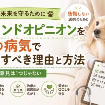 犬の病気でセカンドオピニオンを活用すべき理由と正しい求め方【獣医師に聞けない疑問も解消】