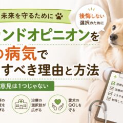 犬の病気でセカンドオピニオンを活用すべき理由と正しい求め方【獣医師に聞けない疑問も解消】