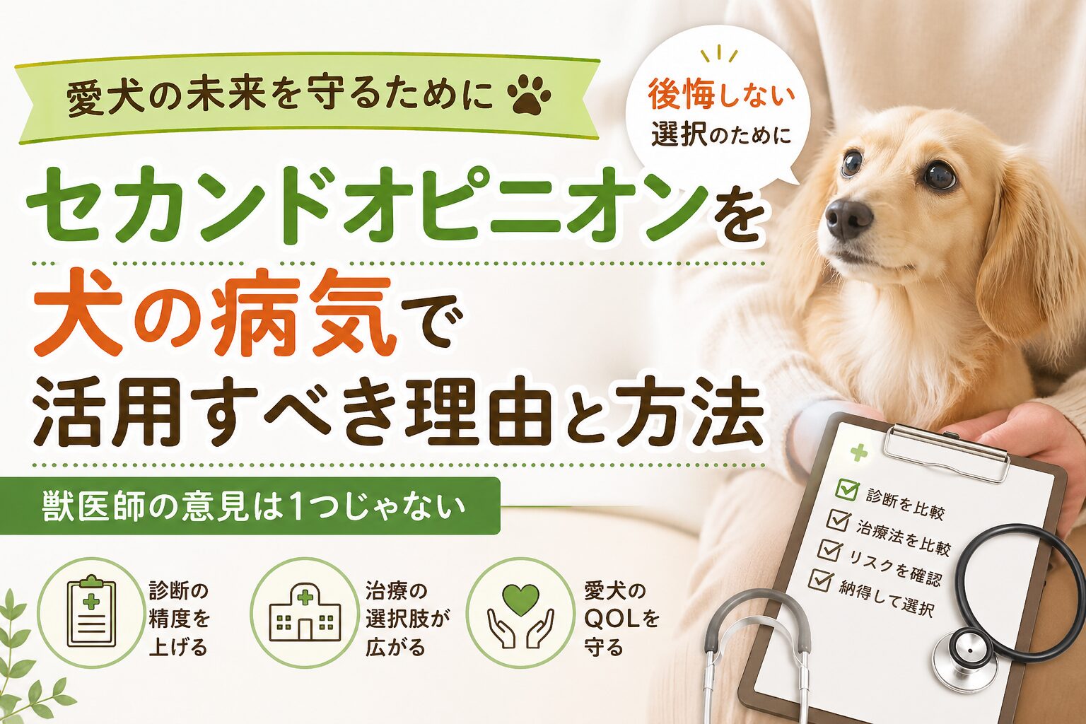 犬の病気でセカンドオピニオンを活用すべき理由