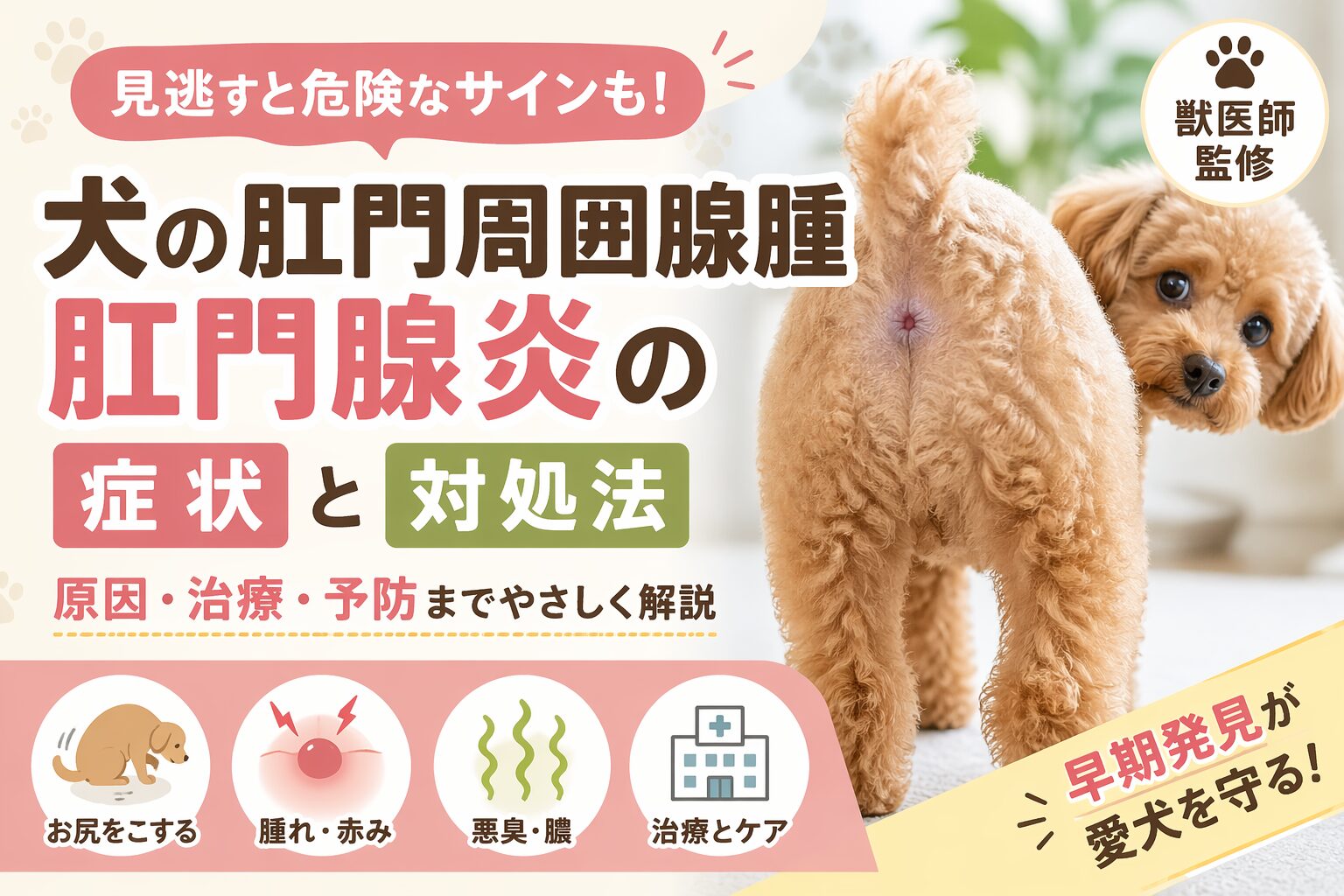 犬の肛門周囲腺腫・肛門腺炎の症状と対処法