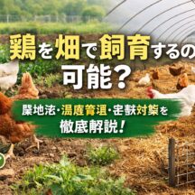 鶏を畑で飼育することは可能か？農地法・害獣対策・温度管理まで徹底解説【動物福祉の視点から】