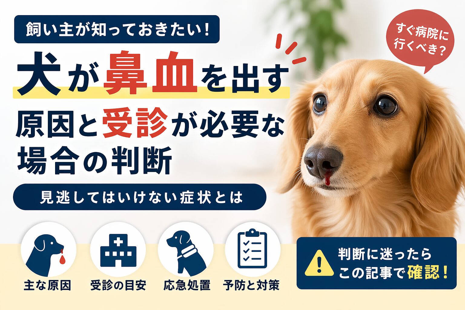 犬が鼻血を出す原因