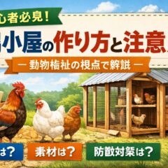 鶏小屋の作り方と注意点【動物福祉を守る完全ガイド】設計・材料・飼育環境まで徹底解説