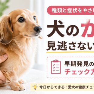 犬のがん（腫瘍）の種類と早期発見のためのチェック方法｜愛犬を守る完全ガイド