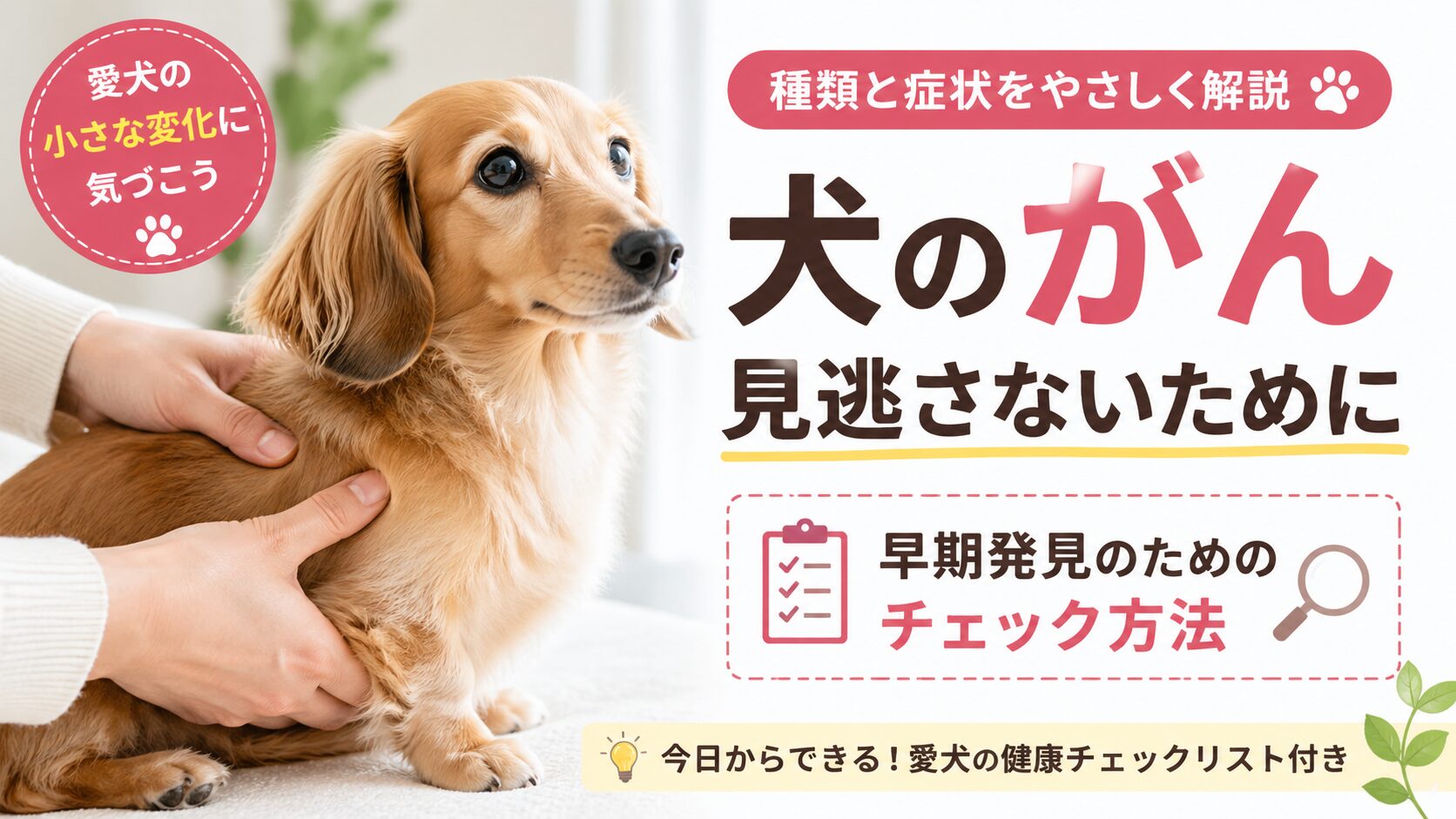 犬のがん（腫瘍）の種類と早期発見のためのチェック方法