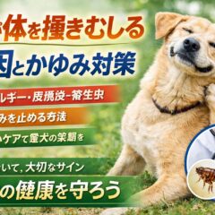 犬が体を掻きむしる原因とかゆみを止める対処法｜獣医師監修・完全ガイド