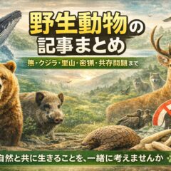 野生動物の記事まとめ｜熊・クジラ・里山・密猟・共存問題まで学べるリンク集